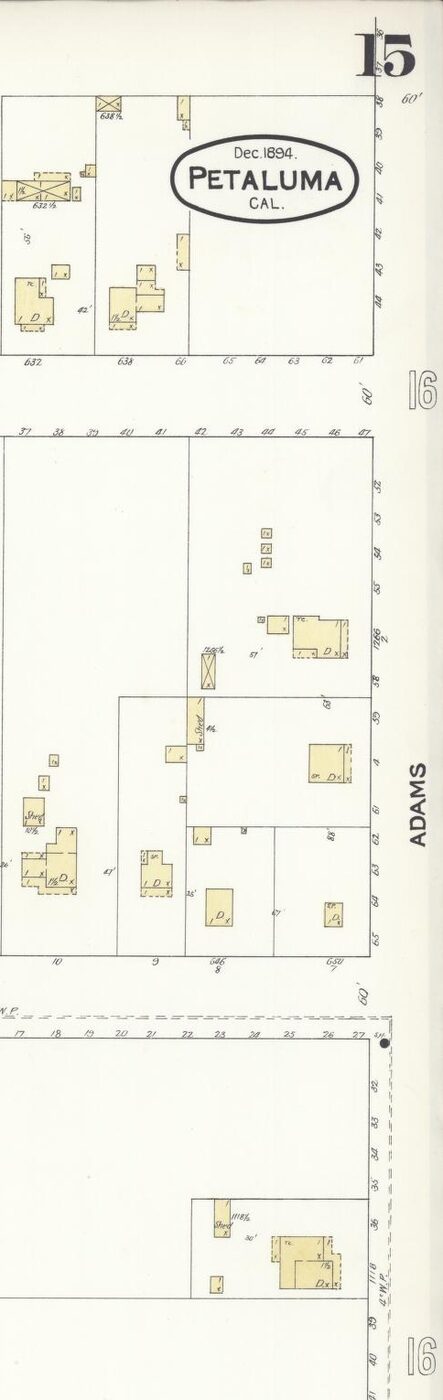 Detail of the December 1894 Petaluma Sanborn map with the street labeled ADAMS.
